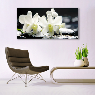 Photo sur toile Pierres fleurs floral blanc noir