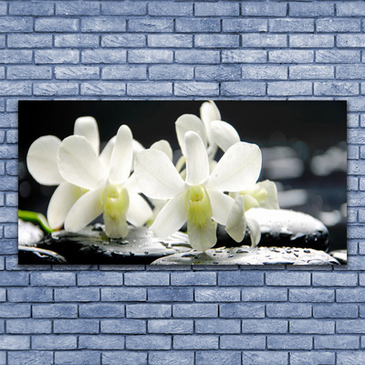 Photo sur toile Pierres fleurs floral blanc noir