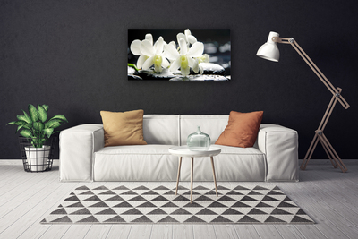 Photo sur toile Pierres fleurs floral blanc noir