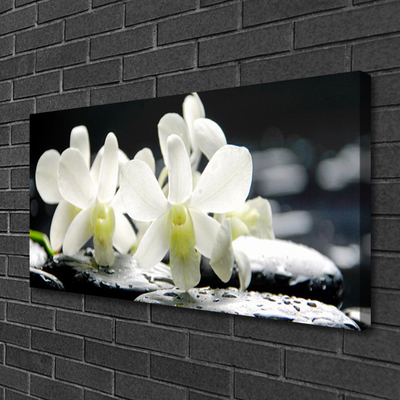 Photo sur toile Pierres fleurs floral blanc noir