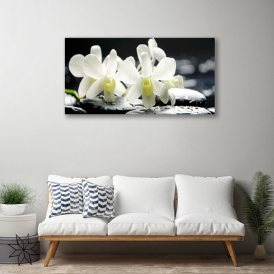 Photo sur toile Pierres fleurs floral blanc noir