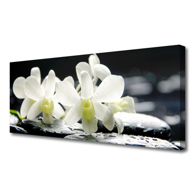 Photo sur toile Pierres fleurs floral blanc noir