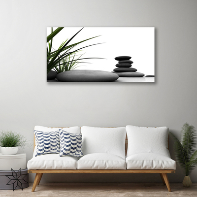 Photo sur toile Pierres herbe art vert gris