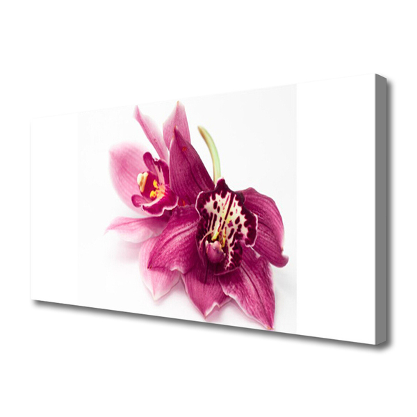 Photo sur toile Fleurs floral rouge