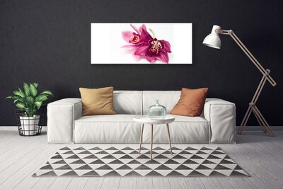 Photo sur toile Fleurs floral rouge