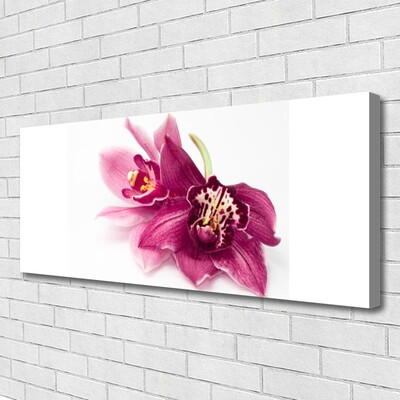 Photo sur toile Fleurs floral rouge