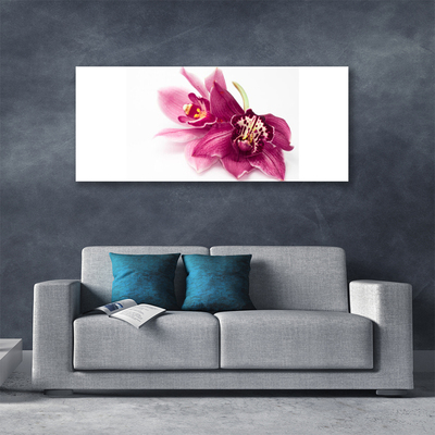 Photo sur toile Fleurs floral rouge