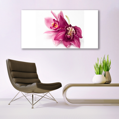 Photo sur toile Fleurs floral rouge