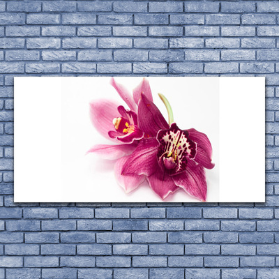 Photo sur toile Fleurs floral rouge