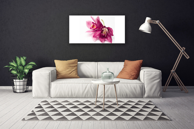 Photo sur toile Fleurs floral rouge