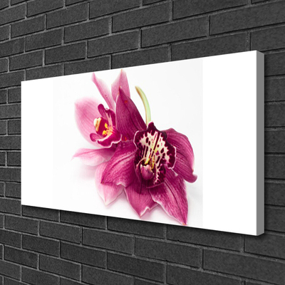 Photo sur toile Fleurs floral rouge