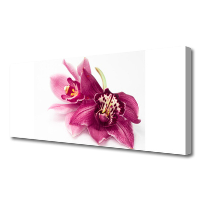 Photo sur toile Fleurs floral rouge