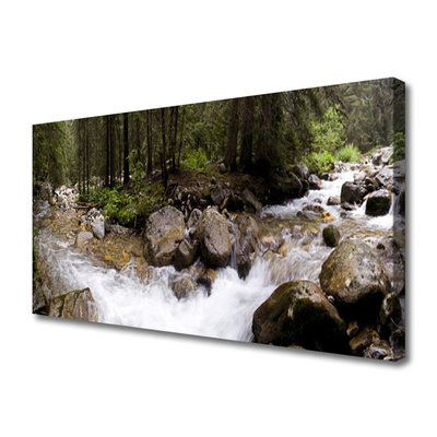 Photo sur toile Forêt ruisseau nature brun vert blanc gris