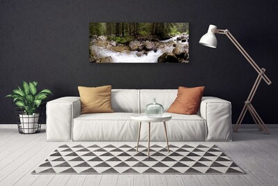 Photo sur toile Forêt ruisseau nature brun vert blanc gris