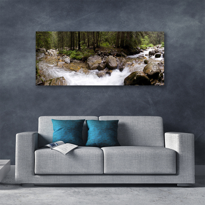 Photo sur toile Forêt ruisseau nature brun vert blanc gris