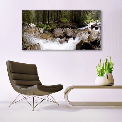 Photo sur toile Forêt ruisseau nature brun vert blanc gris