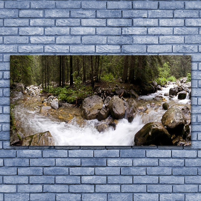 Photo sur toile Forêt ruisseau nature brun vert blanc gris