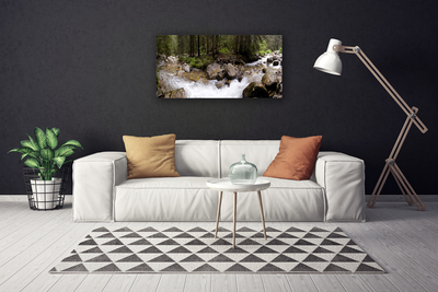 Photo sur toile Forêt ruisseau nature brun vert blanc gris