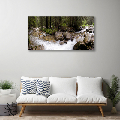 Photo sur toile Forêt ruisseau nature brun vert blanc gris