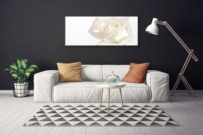 Photo sur toile Rose floral blanc
