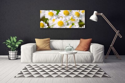 Photo sur toile Marguerite floral jaune blanc