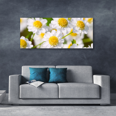 Photo sur toile Marguerite floral jaune blanc