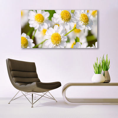 Photo sur toile Marguerite floral jaune blanc