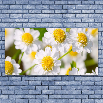 Photo sur toile Marguerite floral jaune blanc