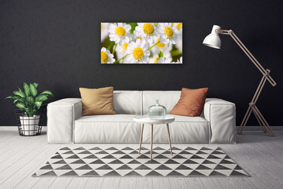 Photo sur toile Marguerite floral jaune blanc