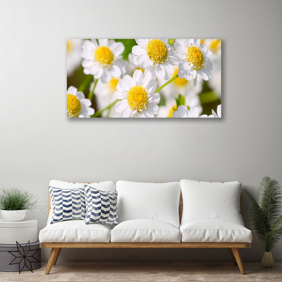 Photo sur toile Marguerite floral jaune blanc