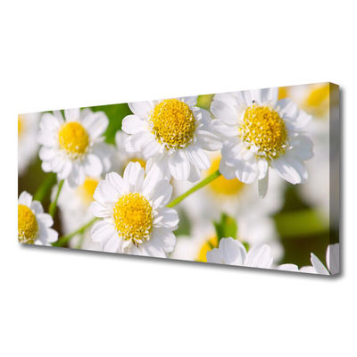 Photo sur toile Marguerite floral jaune blanc