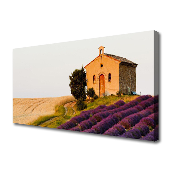 Photo sur toile Terrain paysage brun vert rose