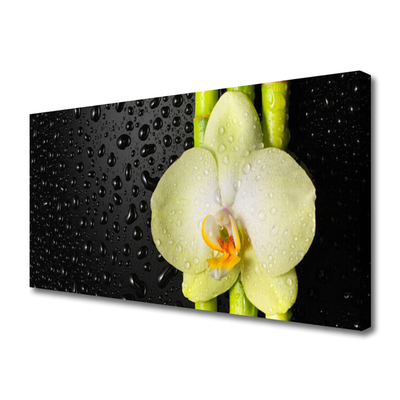 Photo sur toile Fleur bambou floral vert jaune