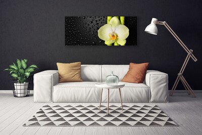 Photo sur toile Fleur bambou floral vert jaune