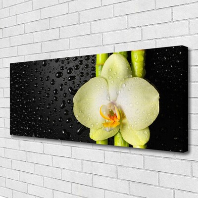 Photo sur toile Fleur bambou floral vert jaune