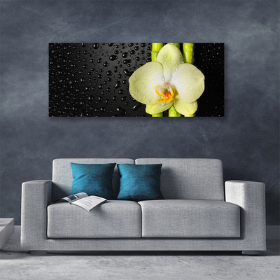 Photo sur toile Fleur bambou floral vert jaune