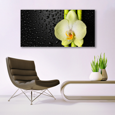 Photo sur toile Fleur bambou floral vert jaune