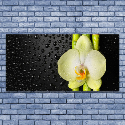 Photo sur toile Fleur bambou floral vert jaune