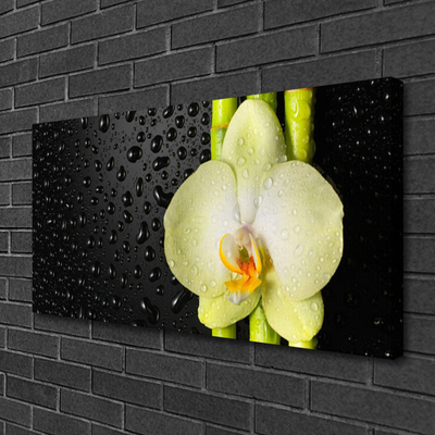 Photo sur toile Fleur bambou floral vert jaune