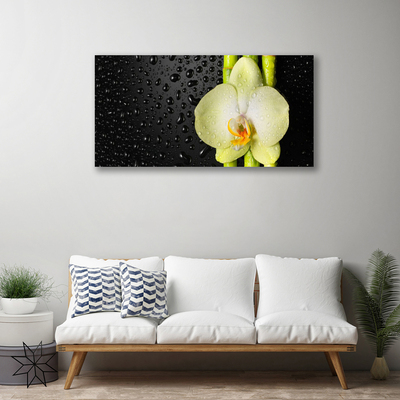 Photo sur toile Fleur bambou floral vert jaune