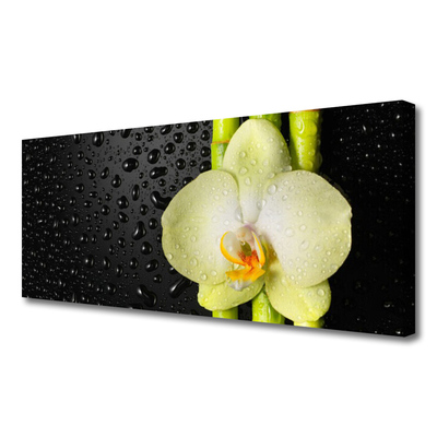 Photo sur toile Fleur bambou floral vert jaune