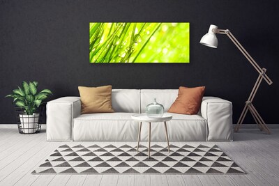 Photo sur toile Herbe nature vert