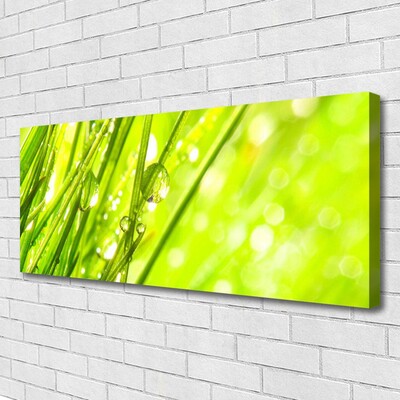 Photo sur toile Herbe nature vert