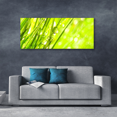 Photo sur toile Herbe nature vert