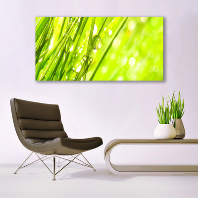 Photo sur toile Herbe nature vert