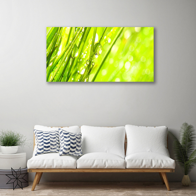 Photo sur toile Herbe nature vert