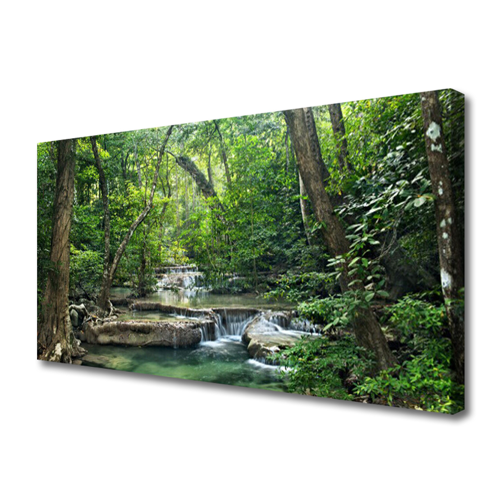Photo sur toile Forêt nature brun vert