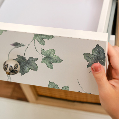 Papier adhésif sur meuble Feuilles de lierre