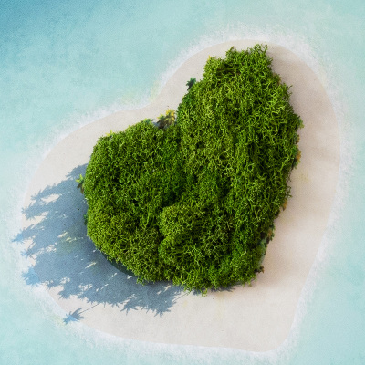 Tableau mousse stabilisée Île en forme de cœur