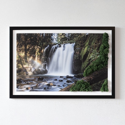 Tableau mousse végétale Cascade entourée d'arbres